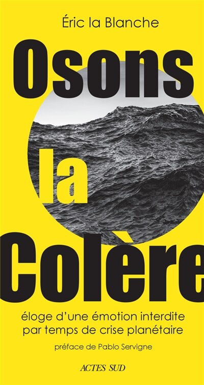 Osons la colère: éloge d'une émotion interdite par temps de crise planétaire - image 1