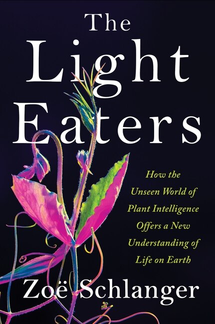 The Light Eaters: How the Unseen World of Plant Intelligence