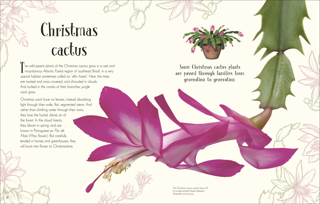 An Anthology of Christmas by Auriol Bishop, (Hardcover) | Indigo