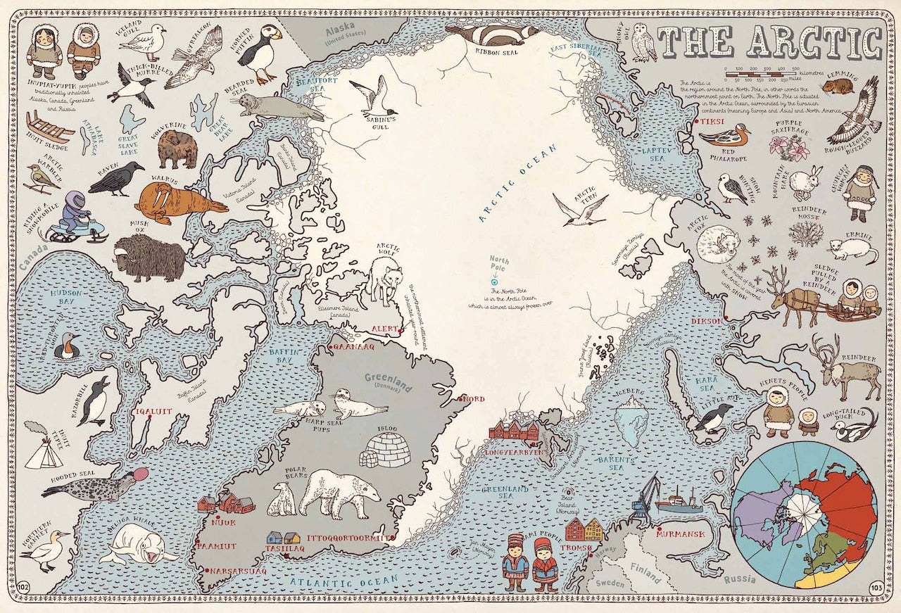 Maps by Aleksandra Mizielinska, (Picture Book) | Indigo