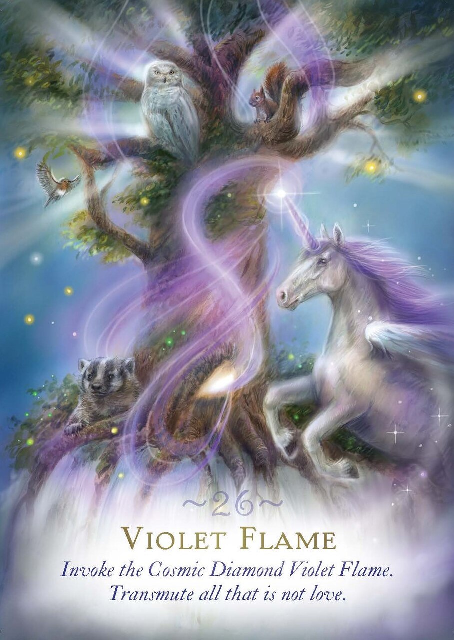 The Magic of Unicorns Oracle Cards: A 44-Card Deck and Guidebook