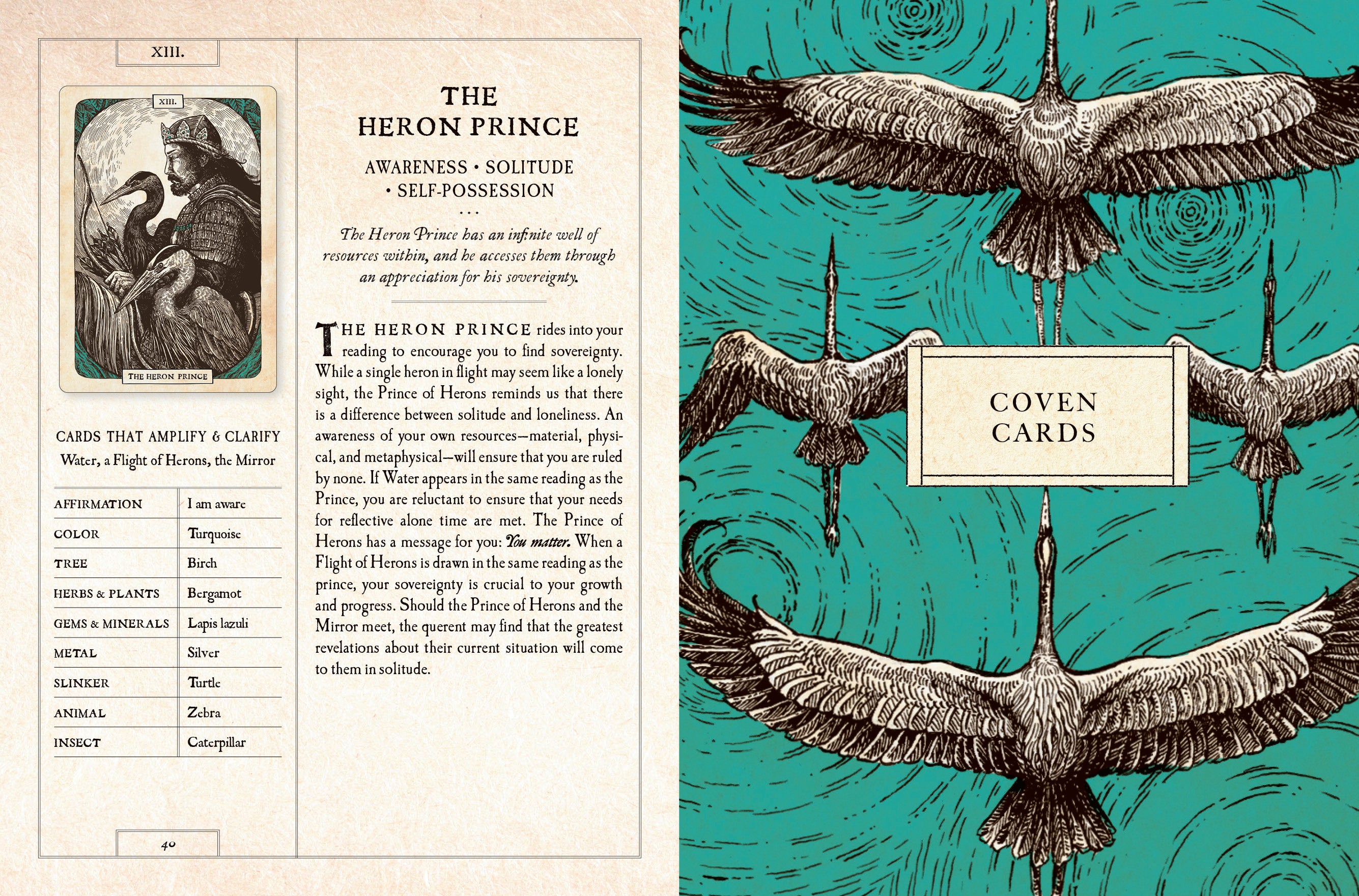 The Black Bird Oracle Deck: A 52-Card Deck and Guidebook by