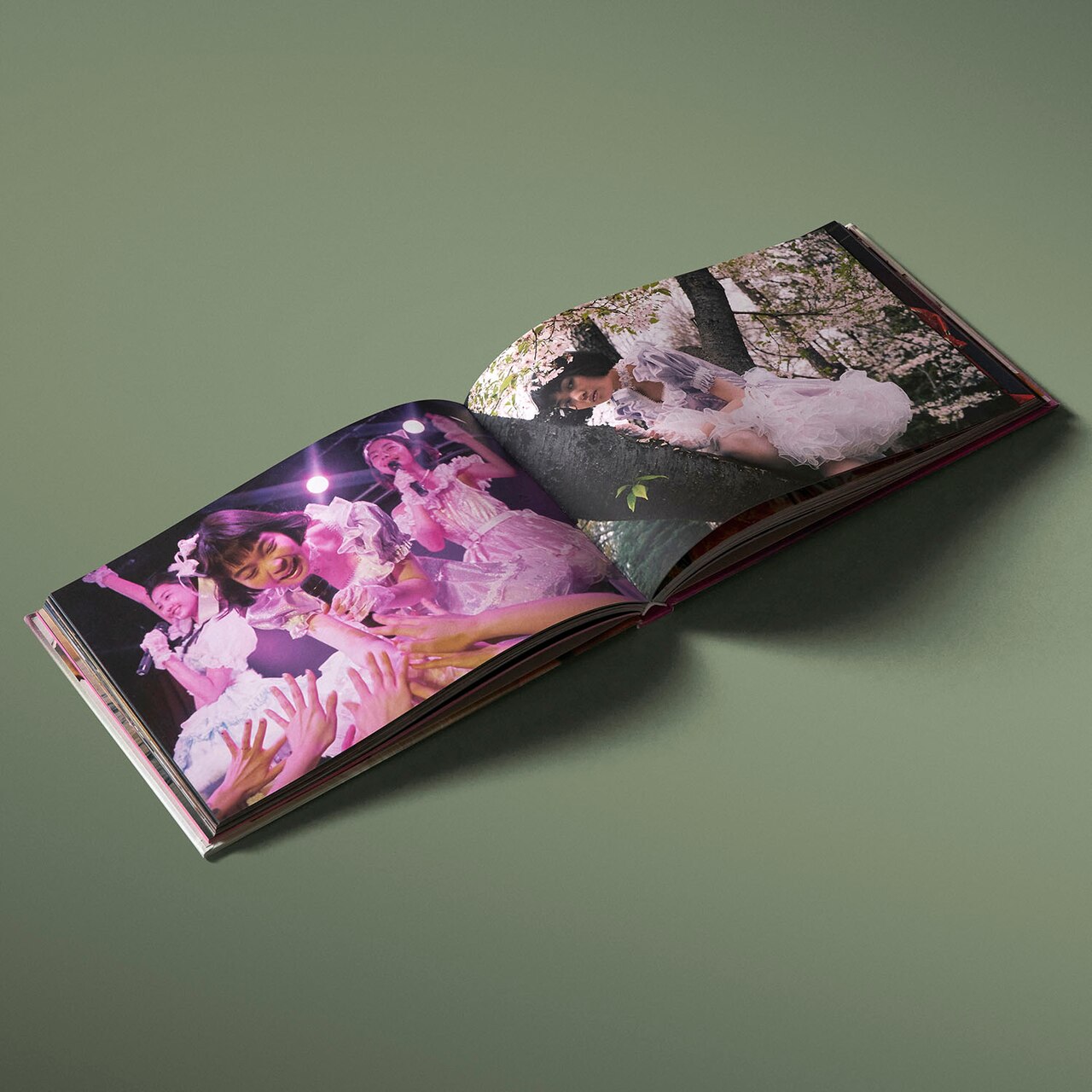 Petra Collins: Star 写真集 Petra Collins: STAR by Petra Collins, (Hardcover) | Indigo