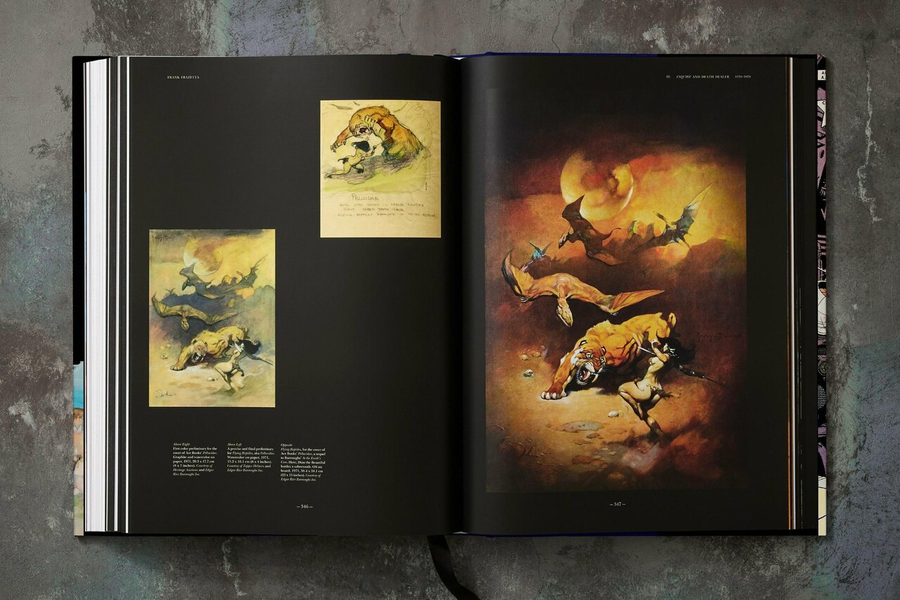 The Fantastic Worlds of Frank Frazetta by Dan Nadel, (Hardcover
