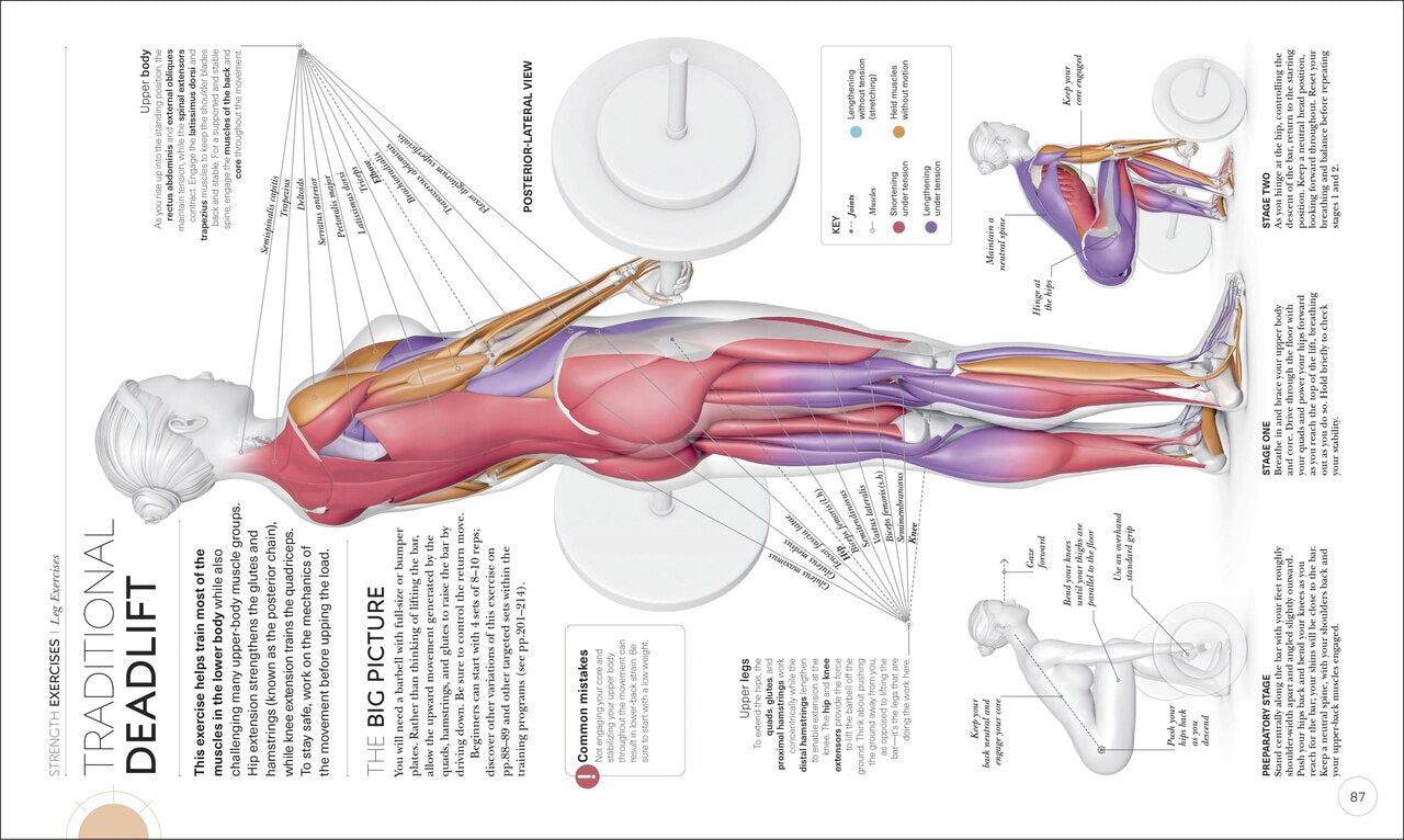 Science of Strength Training: Understand the anatomy and