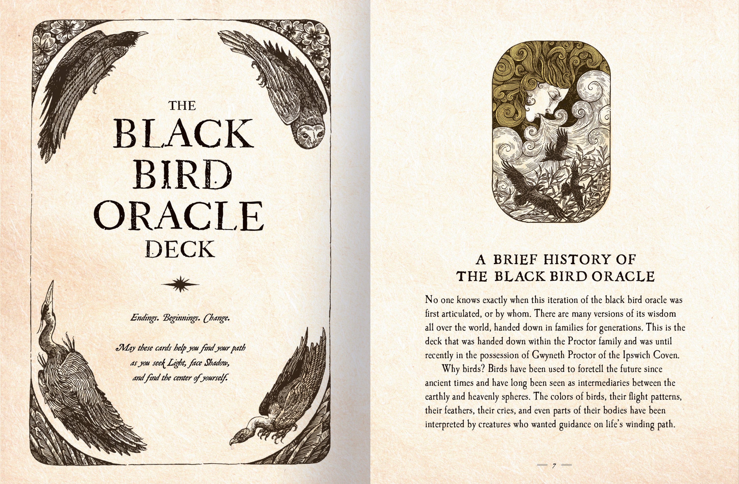 The Black Bird Oracle Deck: A 52-Card Deck and Guidebook by