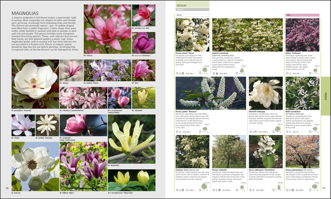 Encyclopedia of Plants and Flowers by Christopher Brickell, (Hardcover)