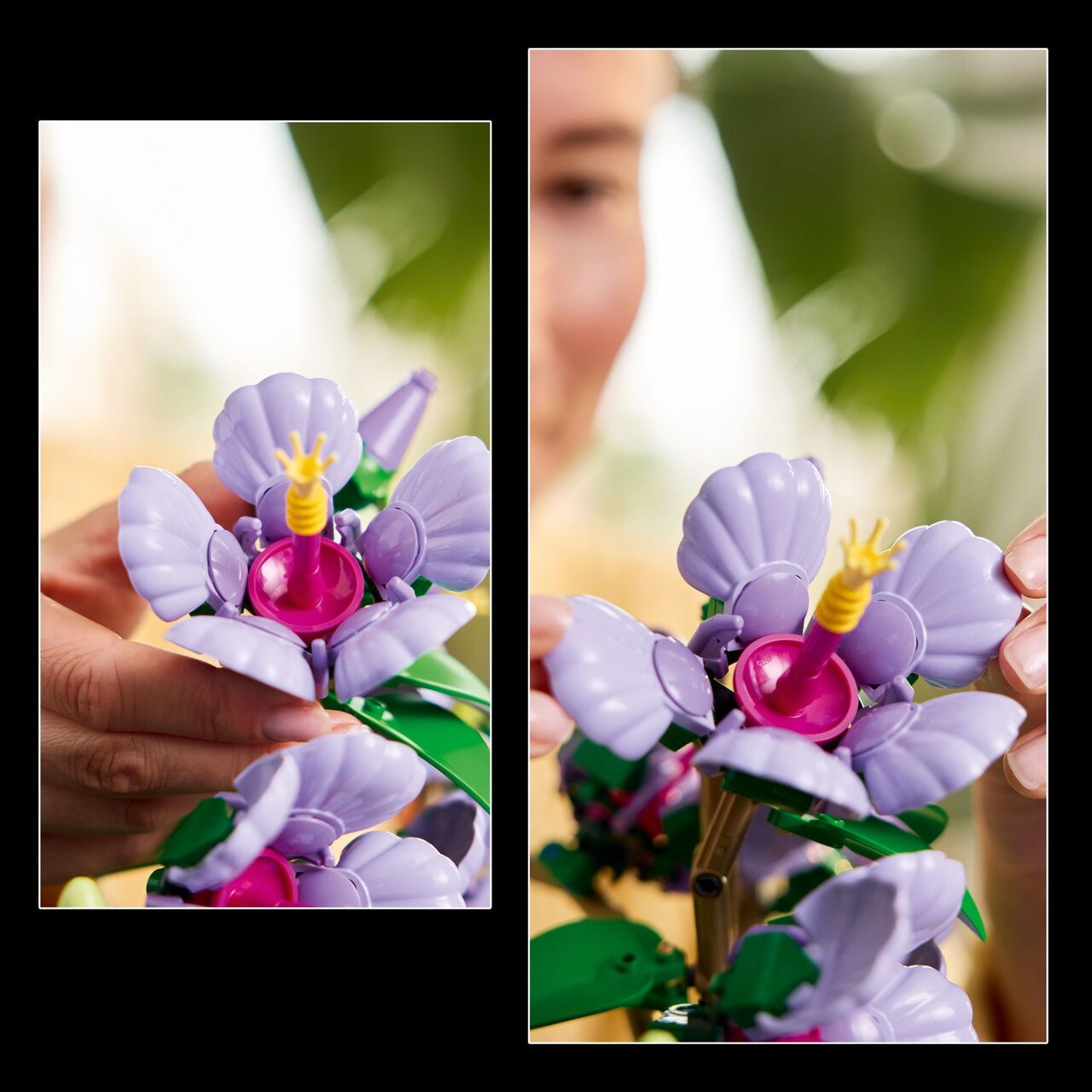LEGO® Hibiscus - 10372 | Indigo