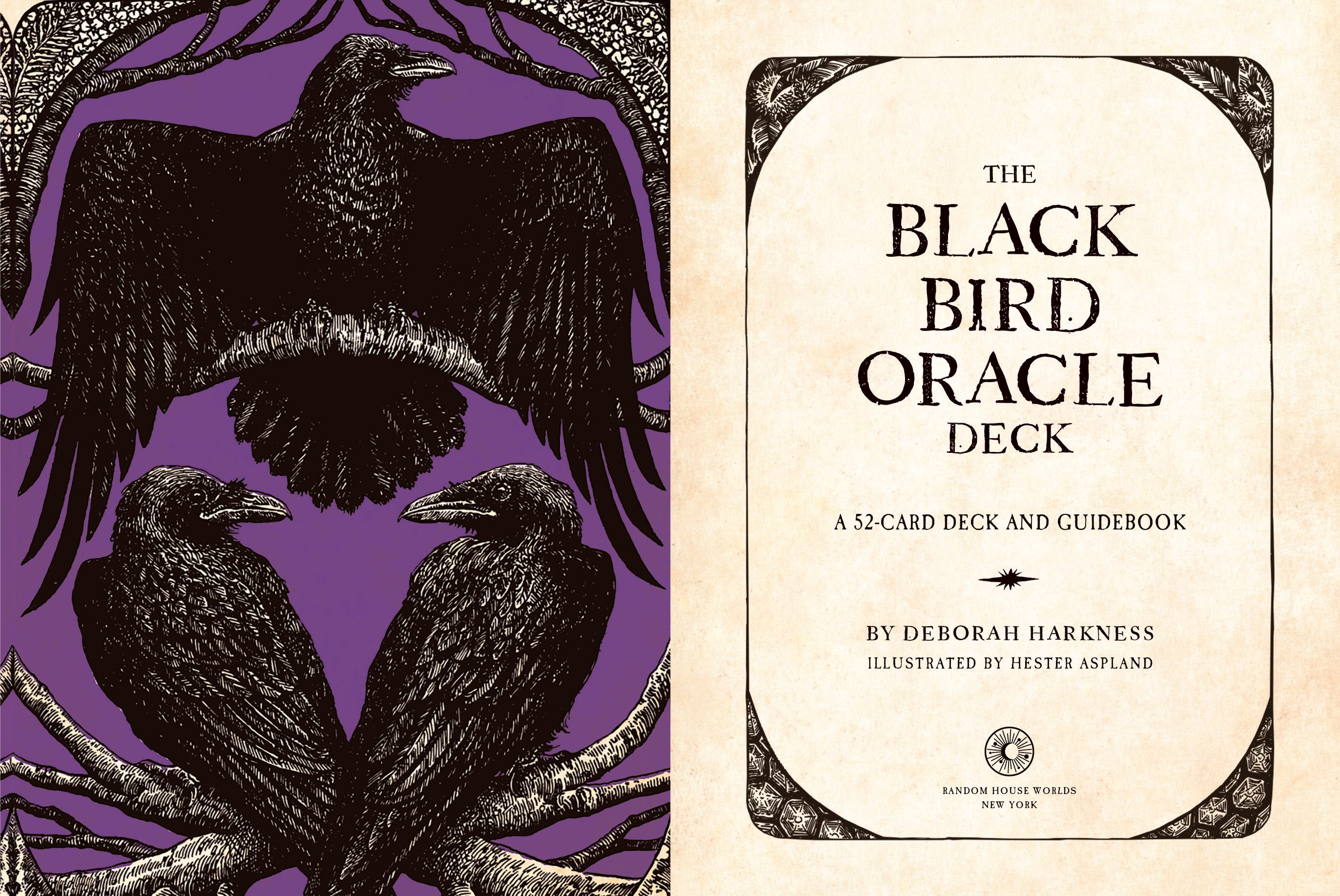 The Black Bird Oracle Deck: A 52-Card Deck and Guidebook by