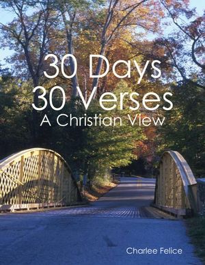 30 Days 30 Verses: A Christian View by Charlee Felice, (Kobo eBook ...