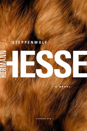 Steppenwolf: A Novel by HERMANN HESSE, (Paperback) | Indigo